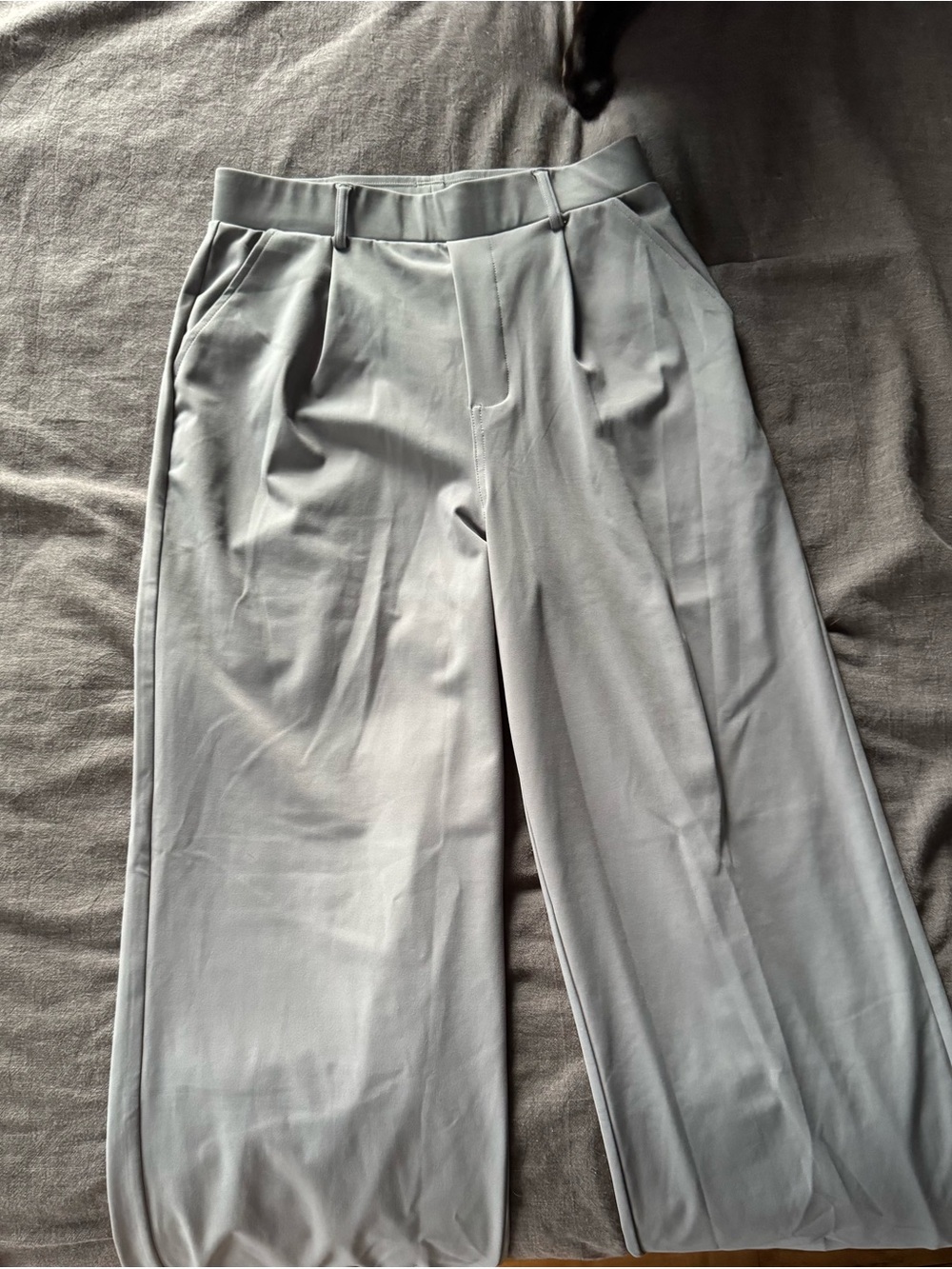 HALARA Light Gray Wide-Leg Pleated Trousers